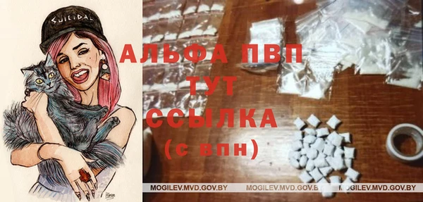 jwh Алзамай