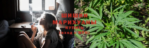 jwh Алзамай
