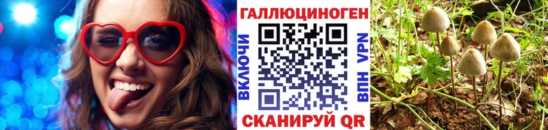Галлюциногенные грибы прущие грибы  купить   OMG зеркало  Ардатов 